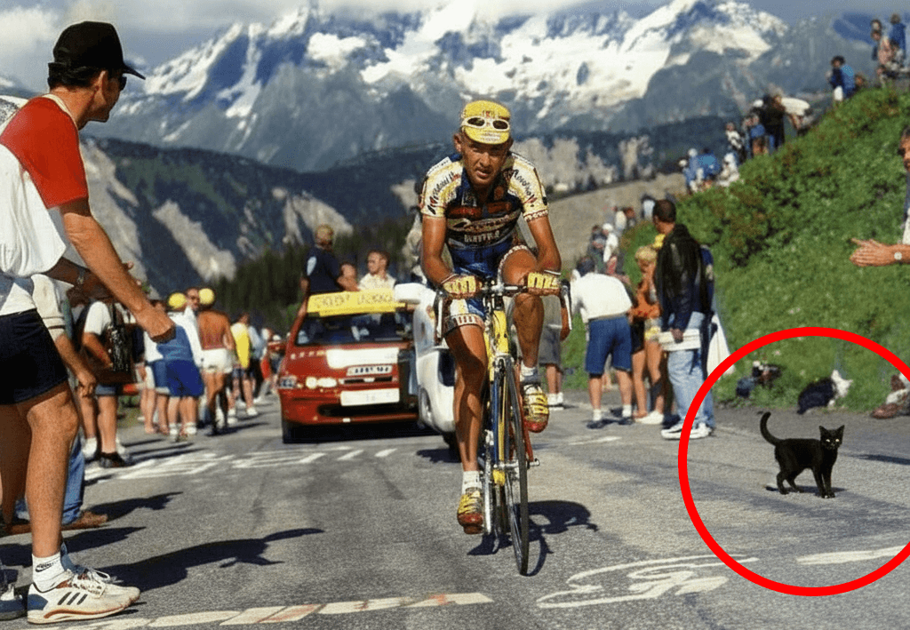 Marco Pantani et le chat noir du Giro 1997 : quand le destin s’invite dans le peloton